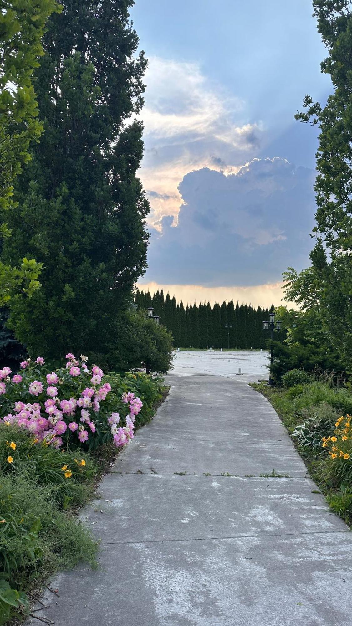 Stone Willow Inn Saint Marys المظهر الخارجي الصورة