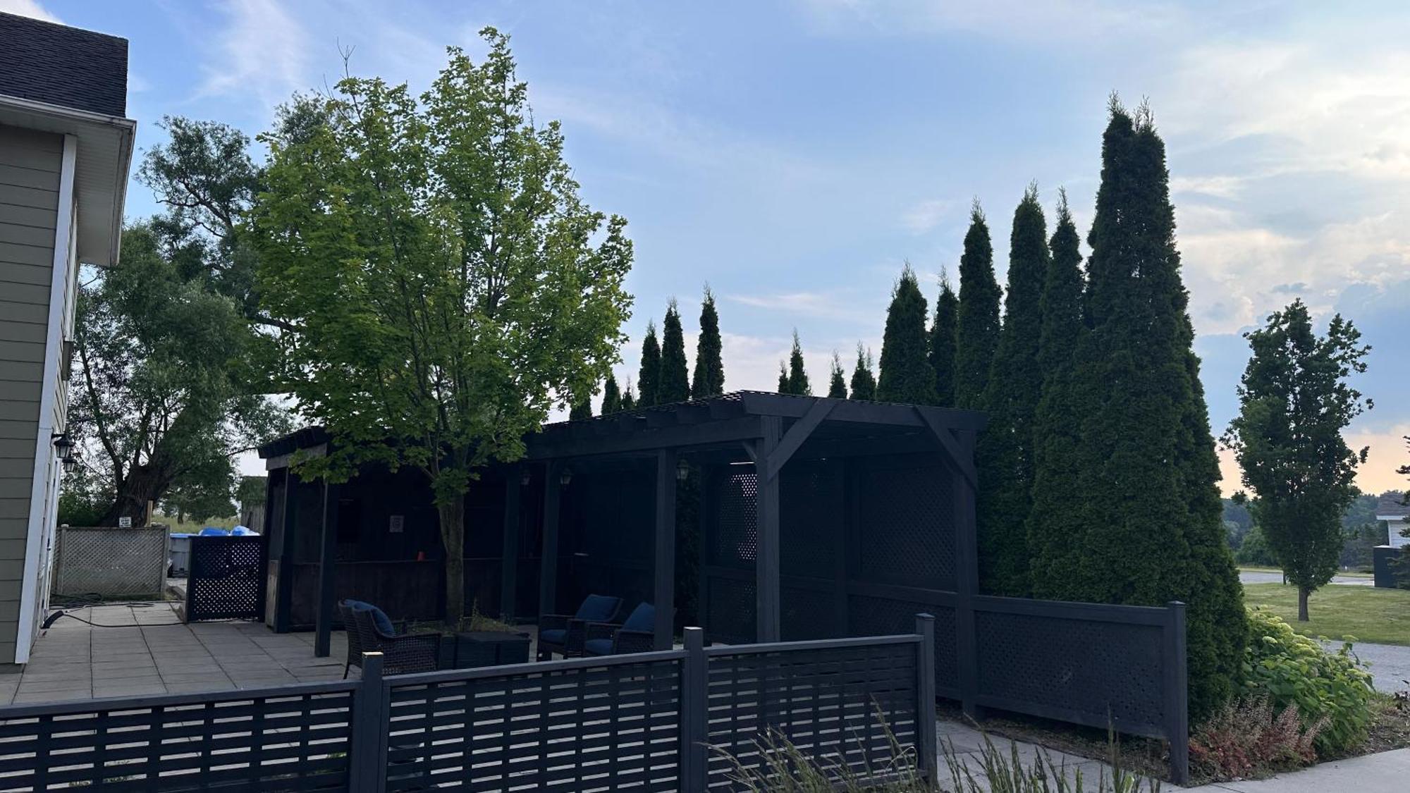 Stone Willow Inn Saint Marys المظهر الخارجي الصورة