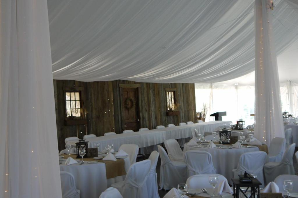 Stone Willow Inn Saint Marys المظهر الخارجي الصورة
